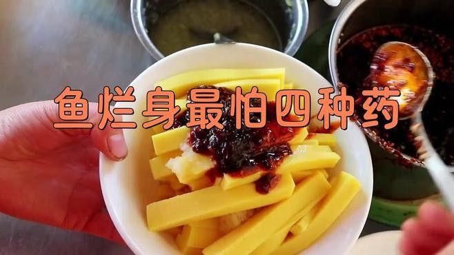 龍魚肚子爛了最怕的三個東西，“龍魚肚子爛了最怕三個東西”，黃顙魚“大肚子”來襲