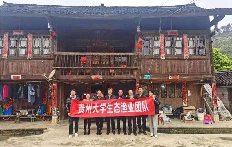 黔南州金龍魚是哪個(gè)公司的？，黔南州金龍魚與都勻紅鯉有何關(guān)聯(lián)？