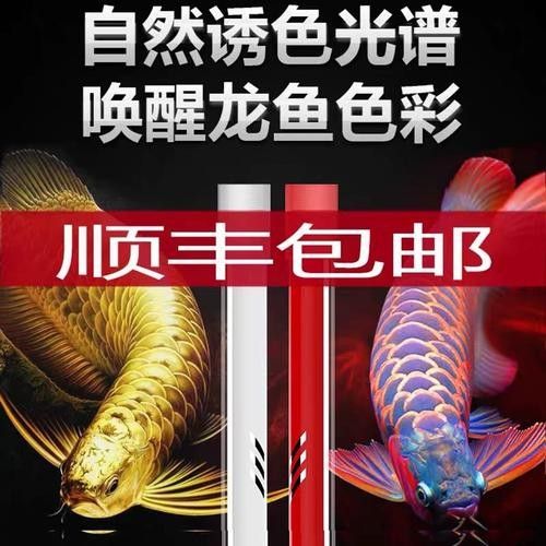 龍魚發(fā)色燈的正確擺放位置，如何正確放置龍魚發(fā)色燈
