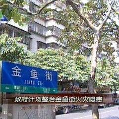 廣東佛山金魚街的歷史背景是什么，佛山金魚街有哪些特色，佛山金魚街有哪些特色？