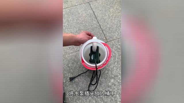 詳細閱讀:龍魚品種繁多,,龍魚品種及價格信息及價格信息及價格信息及價格信息 龍魚品種繁多,,龍魚品種及價格信息及價格信息及價格信息及價格信息