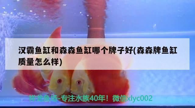 溫帶魚(yú)觀賞魚(yú)觀賞魚(yú)排行榜前十名：溫帶魚(yú)觀賞魚(yú)排行榜，帶魚(yú)觀賞魚(yú)排行榜