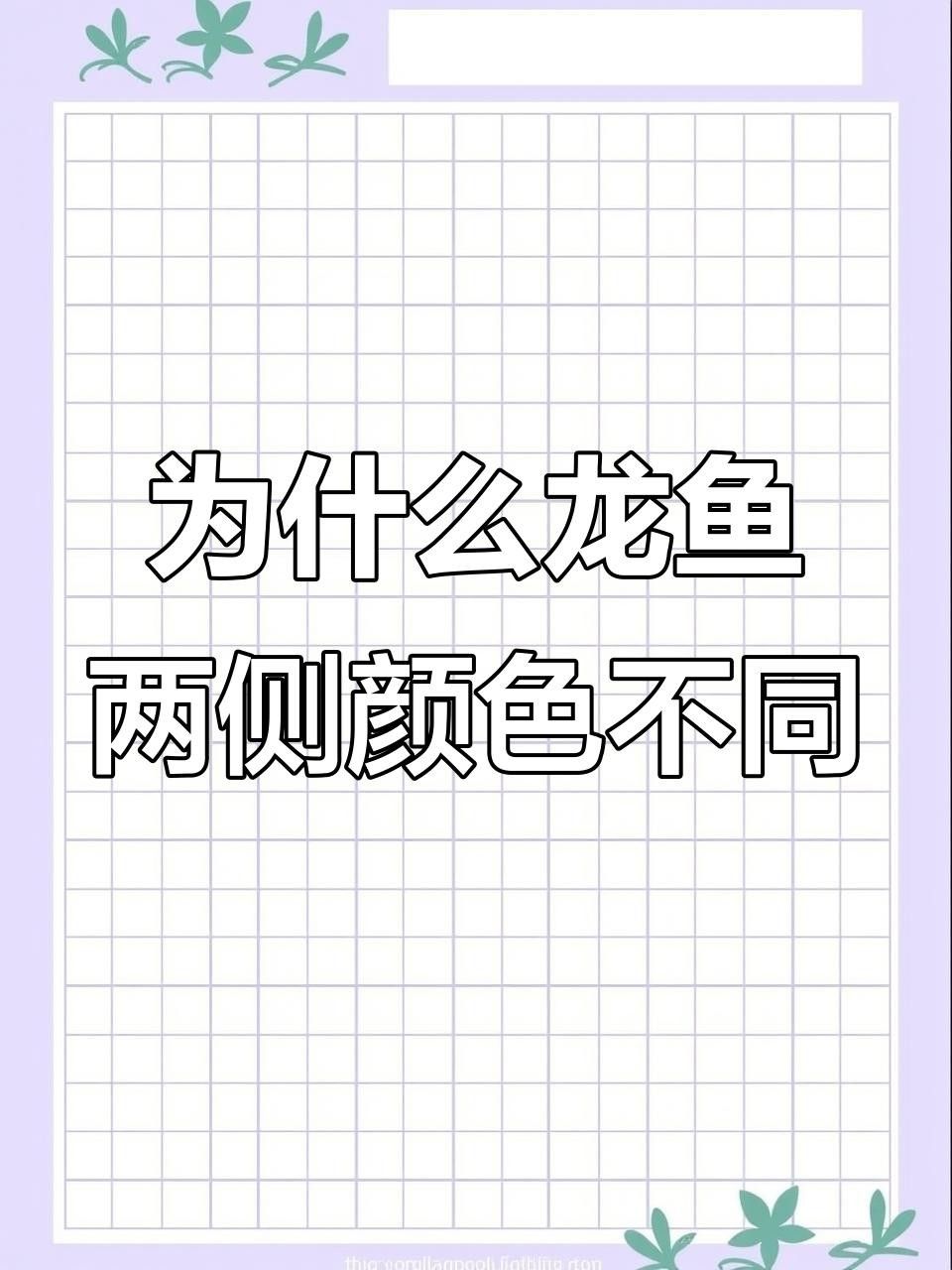 龍魚燈光的使用方法，——龍魚燈光使用方法
