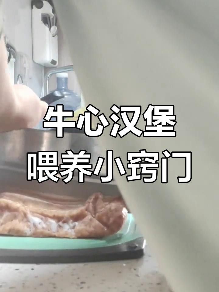 七彩神仙魚牛心漢堡正確投喂方法大揭秘牛心漢堡的正確喂法，七彩神仙魚喂食技巧大揭秘,牛心漢堡的正確投喂方法