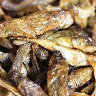 江西上猶特產魚除了石伏魚，還有哪些特色菜品讓人難以忘懷，江西上猶特產魚 江西上猶特產魚除了石伏魚，還有哪些特色菜品讓人難以忘懷，江西上猶特產魚 觀賞魚百科 第2張