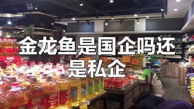 西烏旗金龍魚是國產(chǎn)品牌嗎西烏旗金龍魚是哪個(gè)公司的老音客，西烏旗金龍魚是什么檔次東饗尋味聽西烏旗金龍魚有哪些系列