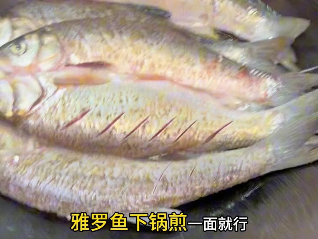東北雅羅魚的肉質鮮美，是當地居民餐桌上的“三花五羅”之一，東北雅羅魚的烹飪方式