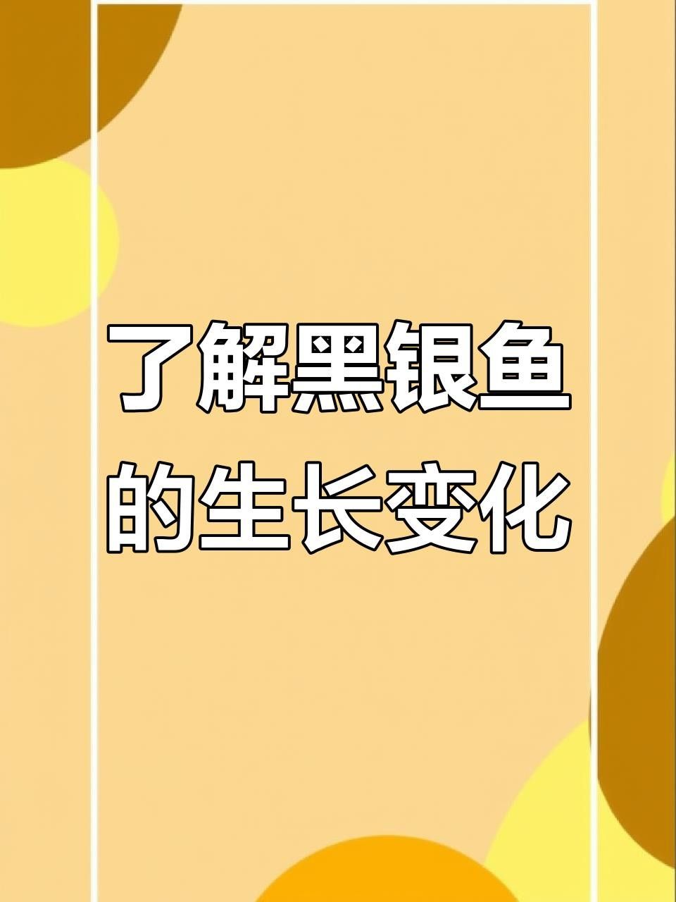 大吉大利黑云魚能長多大，能活幾年，大吉大利黑,大吉大利黑云魚的價格是多少
