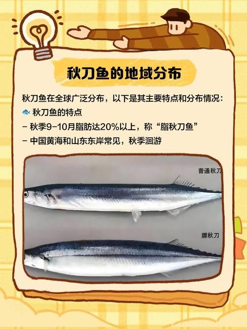 刀魚品牌檔次劃分，刀魚品牌排行榜京東刀魚品牌排行榜京東鮮刀魚品牌排行榜