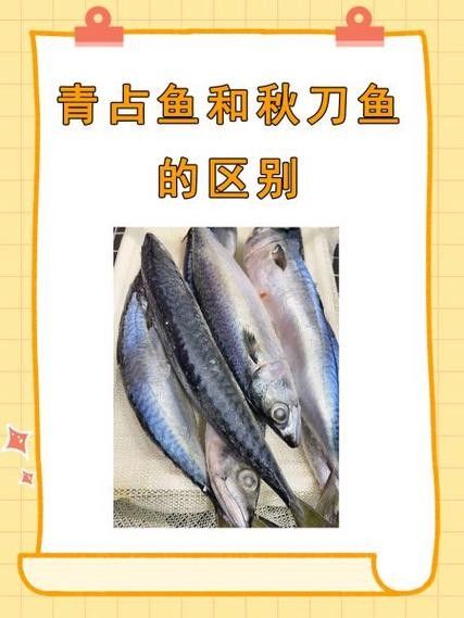 刀魚品牌檔次劃分，刀魚品牌排行榜京東刀魚品牌排行榜京東鮮刀魚品牌排行榜