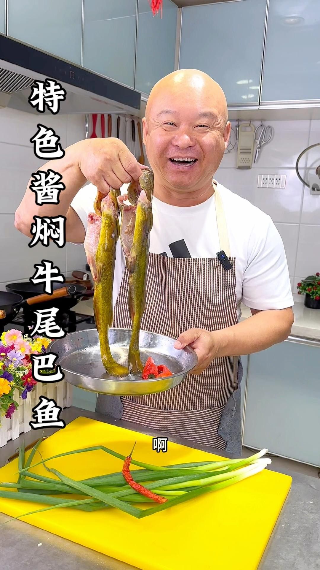 牛魔王魚的飼養(yǎng)方法，熱帶淡水觀賞魚牛魔王gt魚的受歡迎程度介紹