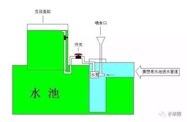 龍魚蒙眼手術治療方法，魚蒙眼手術是一種常見的治療龍魚眼部疾病的方法