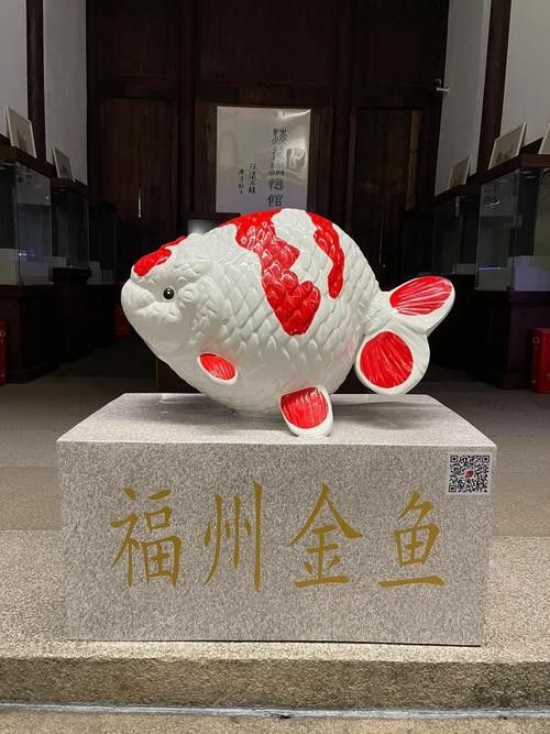 福州金魚品牌，你了解多少？，關于福州金魚的相關信息