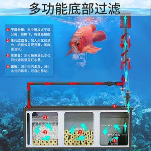 龍缸理想好缸配好魚，輕松養魚，養魚先選好缸，龍缸理想好缸配好魚，輕松養魚，