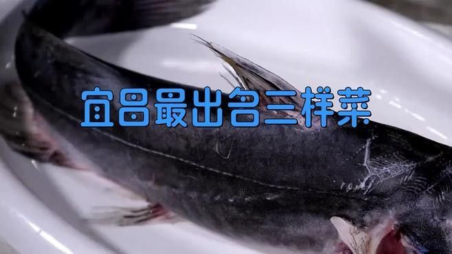 湖北壟上行宜昌肥魚是什么魚昆山智聯(lián)plc劉工宜昌肥魚，宜昌的肥魚是什么魚