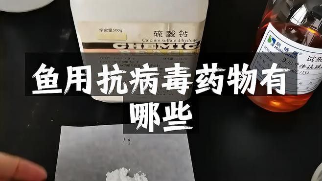 龍魚抗病毒藥物選擇和使用注意事項，龍魚抗病毒藥物有哪些用法用量怎樣把握龍魚抗病毒藥