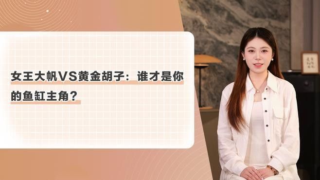 女王大帆魚是雜牌子嗎？如何區分女王大帆魚和雜牌子？，女王大帆魚并非雜牌子，而是一種特定的觀賞魚品種
