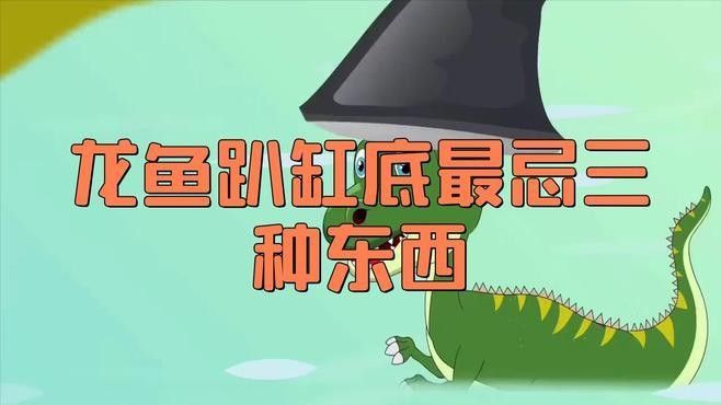 龍魚被咬了最忌三種東西，別讓這三種東西消耗了你家龍魚的生命，嶼港龍魚最怕的三個主要威脅是水質不良，水質不良會導致死亡