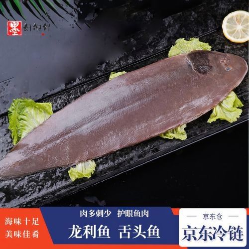龍利魚一斤多少錢龍利魚的價格，龍利魚一斤多少錢 龍利魚一斤多少錢龍利魚的價格，龍利魚一斤多少錢 觀賞魚百科 第5張