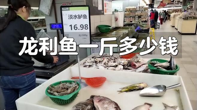 龍利魚一斤多少錢龍利魚的價格，龍利魚一斤多少錢 龍利魚一斤多少錢龍利魚的價格，龍利魚一斤多少錢 觀賞魚百科 第2張