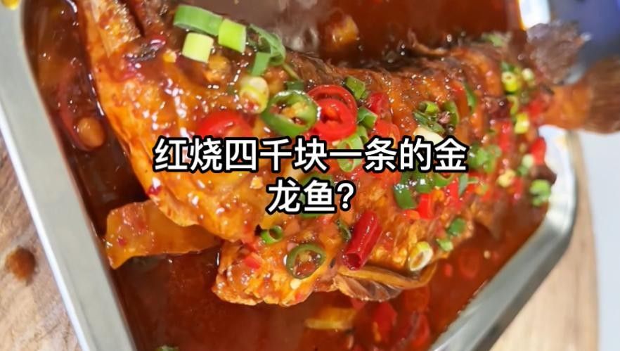 金龍魚紅燒做法大揭秘,斗魚小盆兒也能做出美味全民小視頻，紅燒金龍魚的做法大揭秘斗魚小盆兒也能做出美味全民小視頻