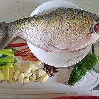 金龍魚紅燒做法大揭秘,斗魚小盆兒也能做出美味全民小視頻，紅燒金龍魚的做法大揭秘斗魚小盆兒也能做出美味全民小視頻
