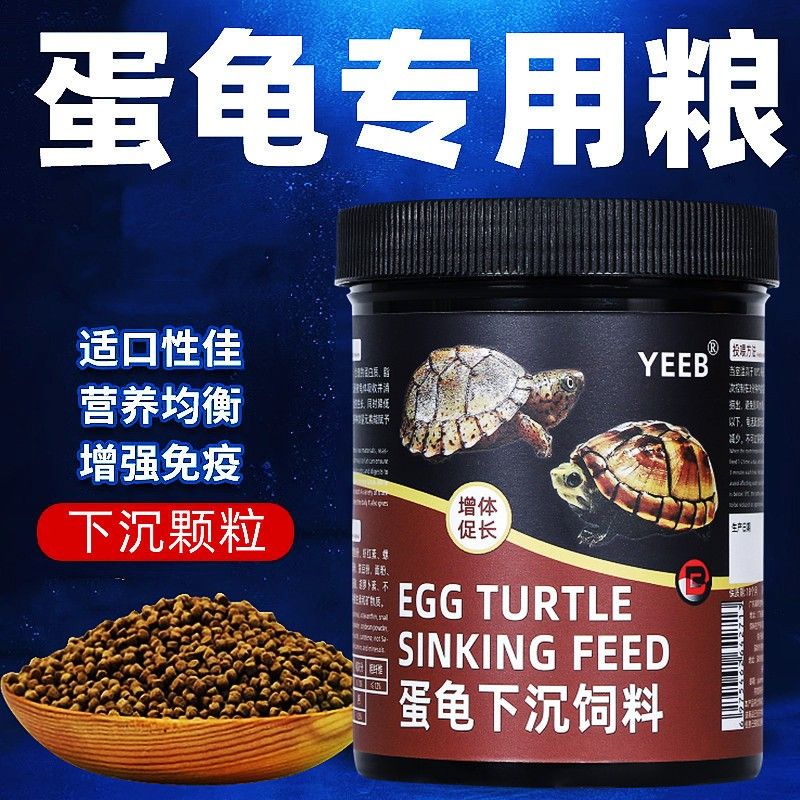 2025年豬鼻龜價格預測，2025年豬鼻龜價格大幅上漲背后原因揭秘