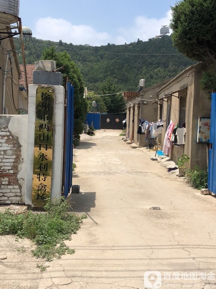 江蘇徐州兩山口金魚養殖基地有哪些特色品種推薦，中國規模最大的金魚養殖基地徐州兩山口金魚養殖基地