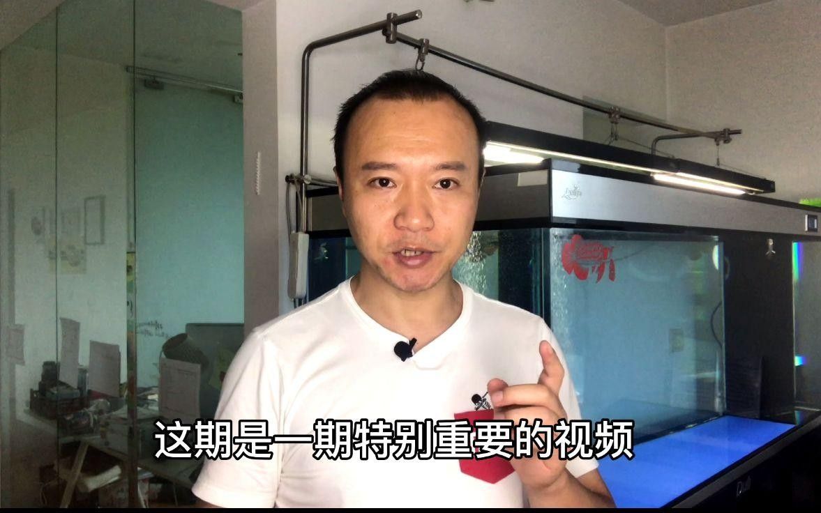 龍魚可以吃魚肉嗎？，龍魚可以吃魚肉嗎廣州龍魚祥龍魚吃魚肉有哪些好處