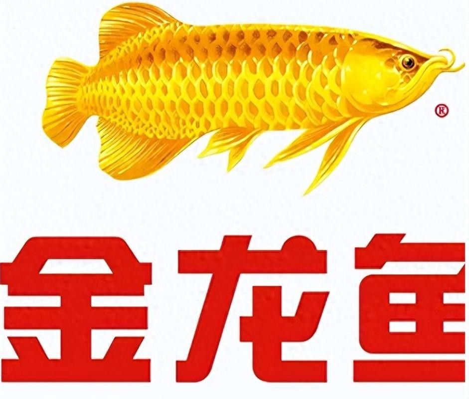 圖騰金龍魚的原料來源在哪里圖騰金龍魚的原料來源在哪里，圖騰金龍魚是不是雜牌子？