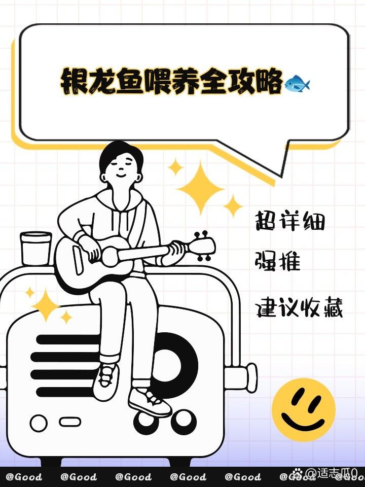 養(yǎng)銀龍魚的10大忠告：養(yǎng)銀龍魚的10大禁忌和注意事項(xiàng)，養(yǎng)銀龍魚的10大忠告