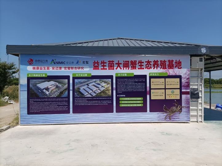 蘇州市吳江區龍魚養殖基地，吳江龍魚養殖技巧