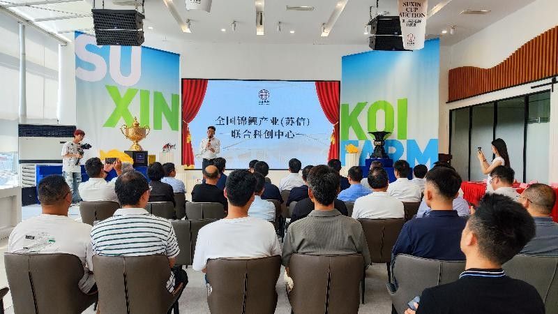 蘇州市吳江區龍魚養殖基地，吳江龍魚養殖技巧