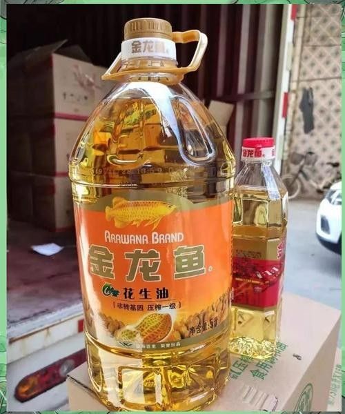 金溪龍魚是雜牌子嗎？，金溪龍魚與“金龍魚”有何關(guān)聯(lián)