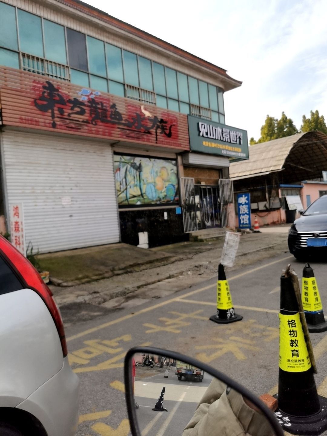 河西龍魚的養(yǎng)殖技術有哪些？，河西龍魚養(yǎng)殖基地在哪里？