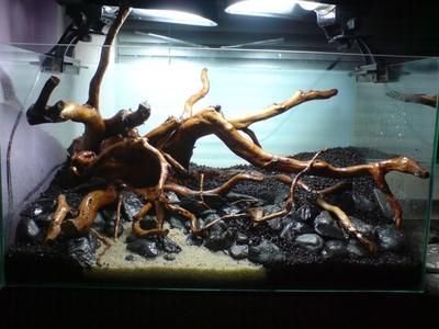 魚缸底柜承重知乎，魚缸底柜比魚缸小可以嗎，關(guān)于魚缸底柜承重知乎
