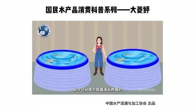 遼寧營口海鮮市場新鮮小魚大揭秘性價比超高的四種魚，營口有哪些特色海鮮？