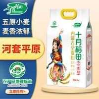 龍魚內蒙河套平原雪花粉源自草原的純凈面食之選嗶哩嗶哩，金龍魚內蒙平原雪花粉源自草原的純凈面食之選