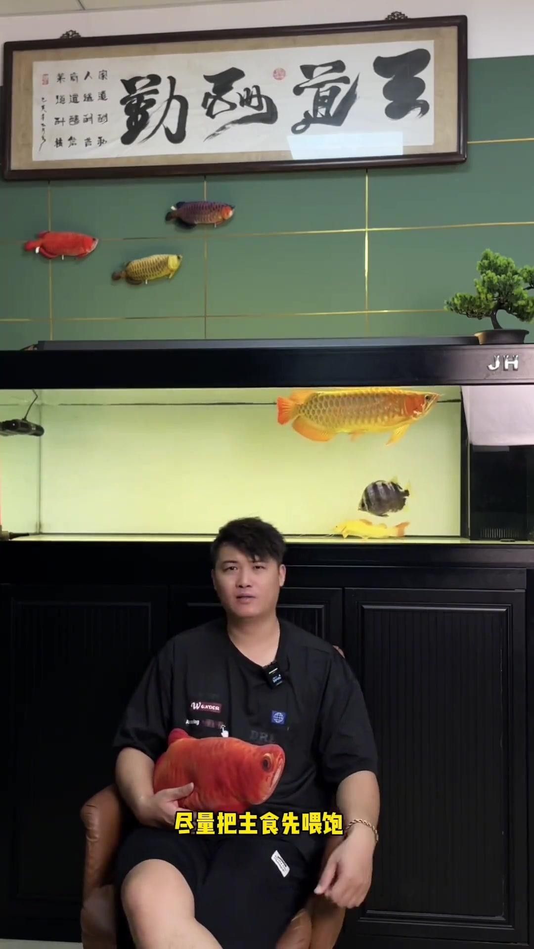 龍魚可以吃魚干，但需注意以下關(guān)鍵點，，龍魚可以吃魚干嗎，龍魚可以吃魚干