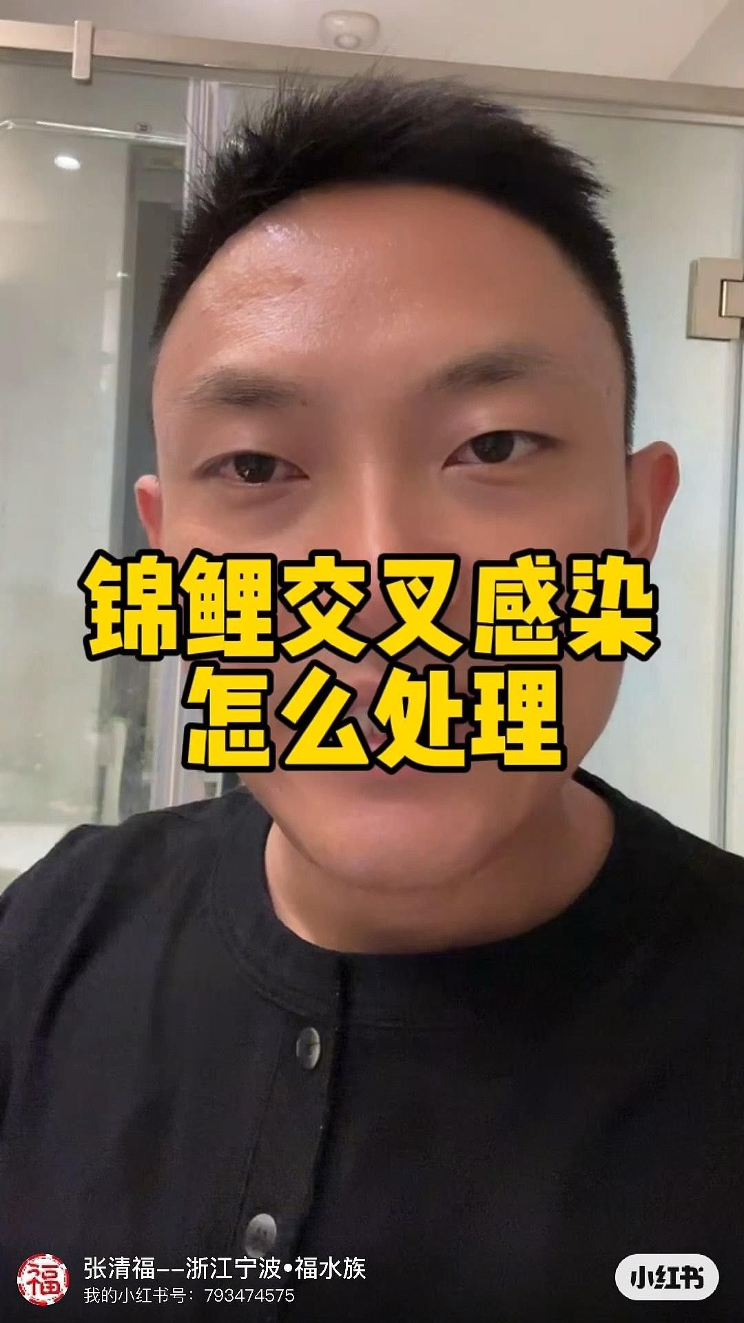 孔雀魚交叉感染了怎么辦本期完整解答嗶哩嗶哩嗶哩嗶哩嗶哩，什么是孔雀魚的交叉感染