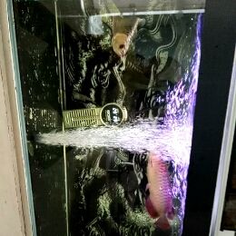 電子競技領域，\