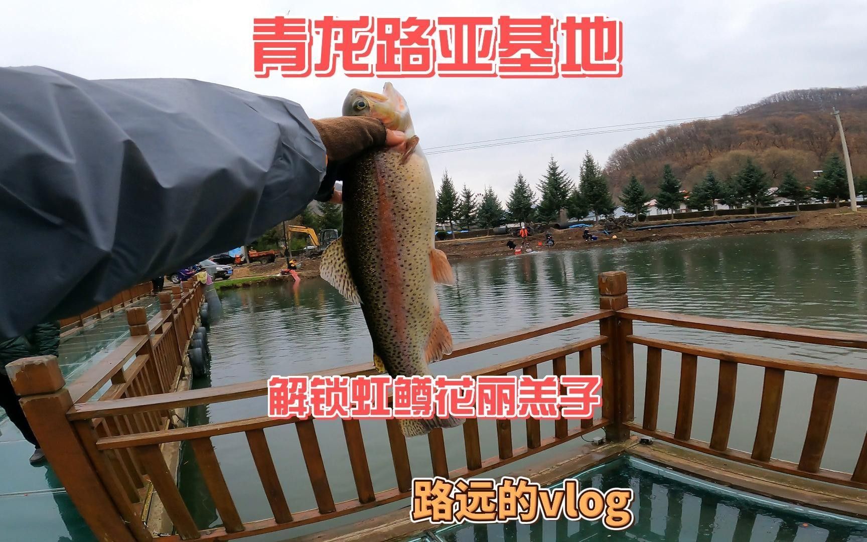 青龍漁業(yè)有哪些特色魚種，延邊青龍漁業(yè)有哪些特色魚種