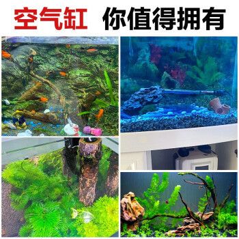 龍魚改口吃飼料怎么喂？如何喂好？，龍魚改口吃飼料怎么喂