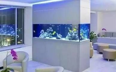 龍魚寄生蟲病的癥狀、診斷和治療常見的龍魚寄生蟲病，如何識別和治療常見的龍魚寄生蟲病