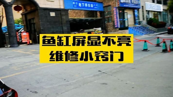 紅龍魚專用飼料的選購指南（-選購紅龍魚專用飼料時(shí)應(yīng)考慮哪些因素）