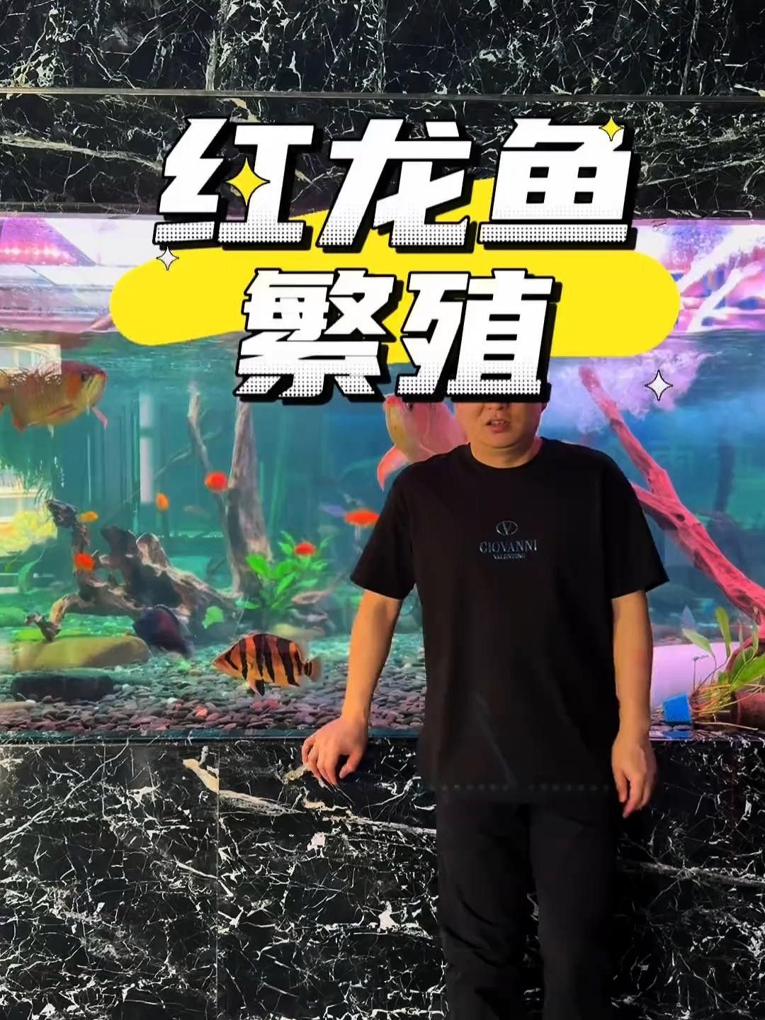 旅順口紅龍魚的市場價格是多少，大連新興冷凍食品批發有限公司旅順口紅龍魚繁殖揭秘
