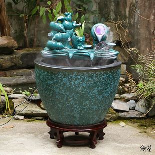 青龍魚(yú)和紅龍魚(yú)的區(qū)別在哪里？，青龍魚(yú)和紅龍魚(yú)在外觀上的區(qū)別