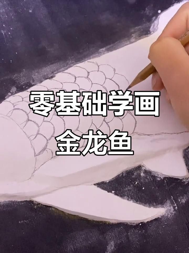 金龍魚的高清手繪圖片高清手繪教程，金龍魚圖片高清手繪圖片高清手繪圖文教程