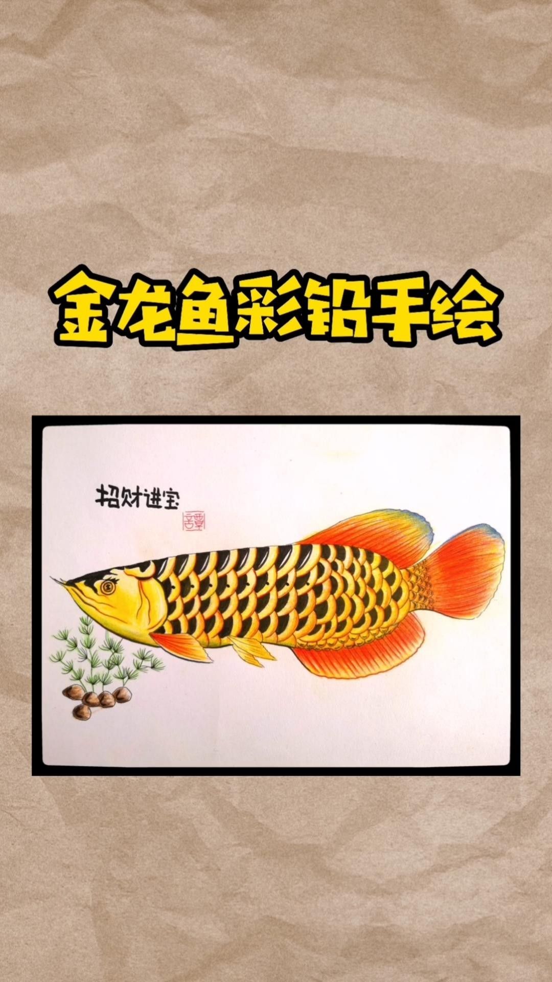 金龍魚的高清手繪圖片高清手繪教程，金龍魚圖片高清手繪圖片高清手繪圖文教程