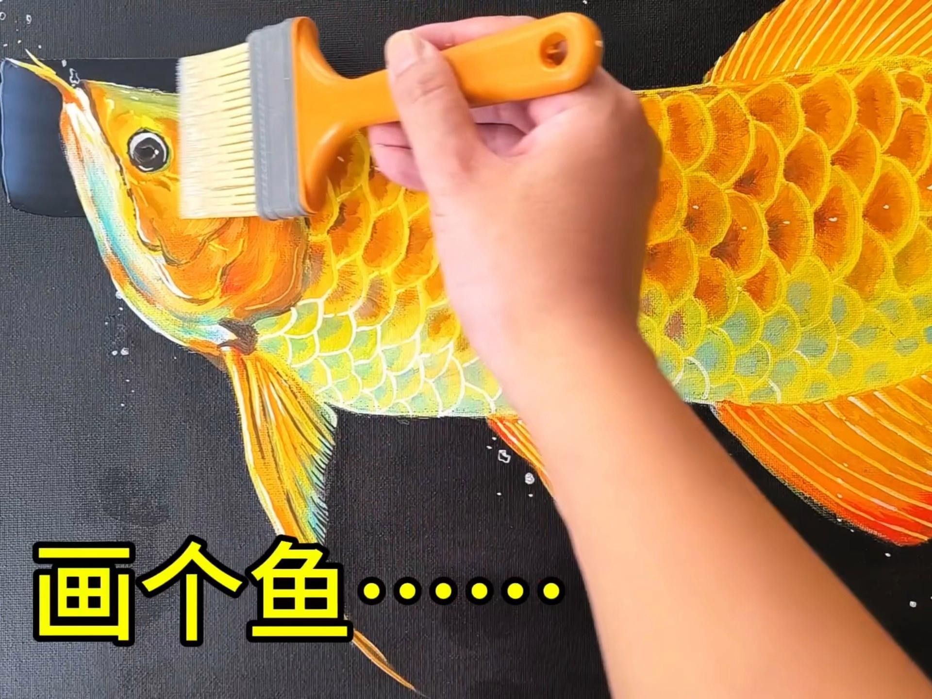 金龍魚的高清手繪圖片高清手繪教程，金龍魚圖片高清手繪圖片高清手繪圖文教程
